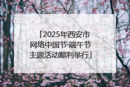 2025年西安市网络中国节·端午节主题活动顺利举行
