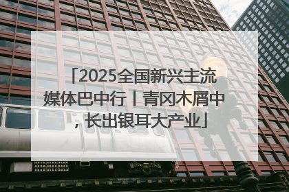 2025全国新兴主流媒体巴中行丨青冈木屑中，长出银耳大产业