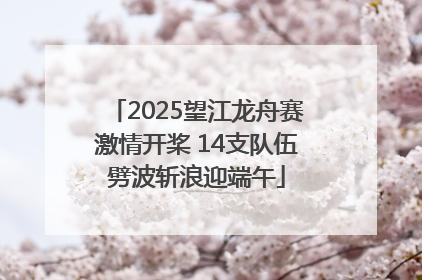 2025望江龙舟赛激情开桨 14支队伍劈波斩浪迎端午