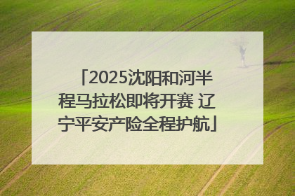 2025沈阳和河半程马拉松即将开赛 辽宁平安产险全程护航