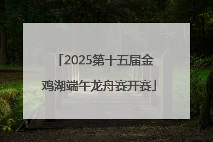 2025第十五届金鸡湖端午龙舟赛开赛