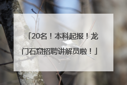 20名！本科起报！龙门石窟招聘讲解员啦！