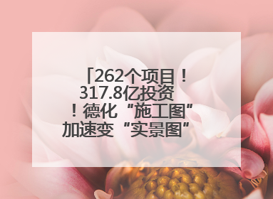 262个项目！317.8亿投资！德化“施工图”加速变“实景图”，现场燃爆了！