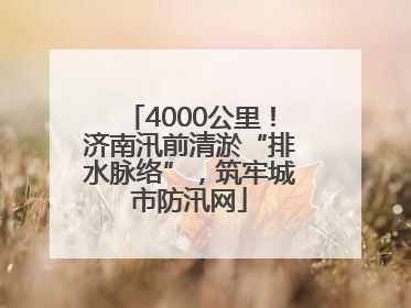 4000公里！济南汛前清淤“排水脉络”，筑牢城市防汛网