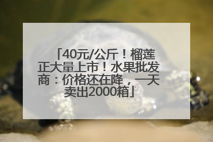 40元/公斤！榴莲正大量上市！水果批发商：价格还在降，一天卖出2000箱