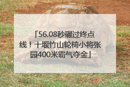 56.08秒碾过终点线！十堰竹山轮椅小将张园400米霸气夺金