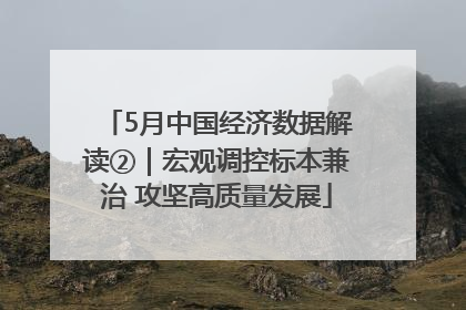 5月中国经济数据解读②｜宏观调控标本兼治 攻坚高质量发展