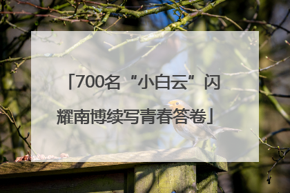 700名“小白云”闪耀南博续写青春答卷