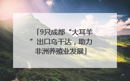9只成都“大耳羊”出口乌干达，助力非洲养殖业发展