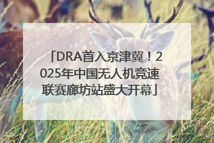 DRA首入京津冀！2025年中国无人机竞速联赛廊坊站盛大开幕