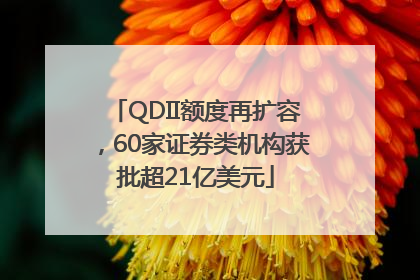 QDII额度再扩容，60家证券类机构获批超21亿美元